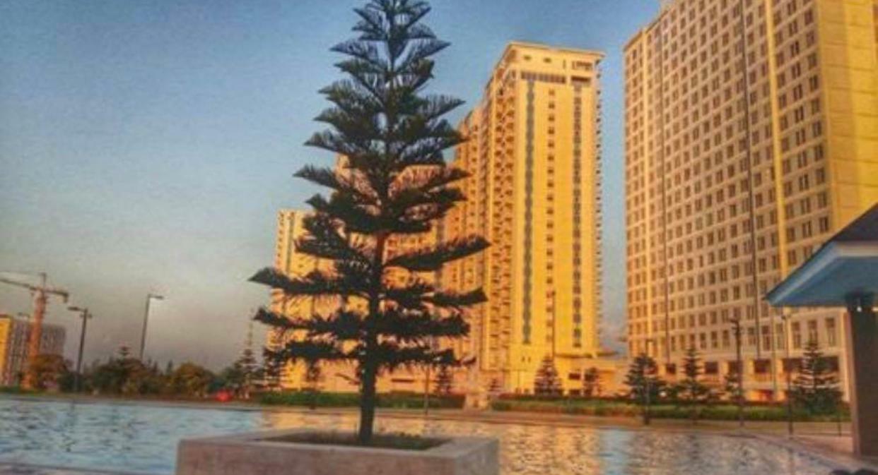 Smdc Cool Residences Tower A Unit 1019 따가이따이 외부 사진